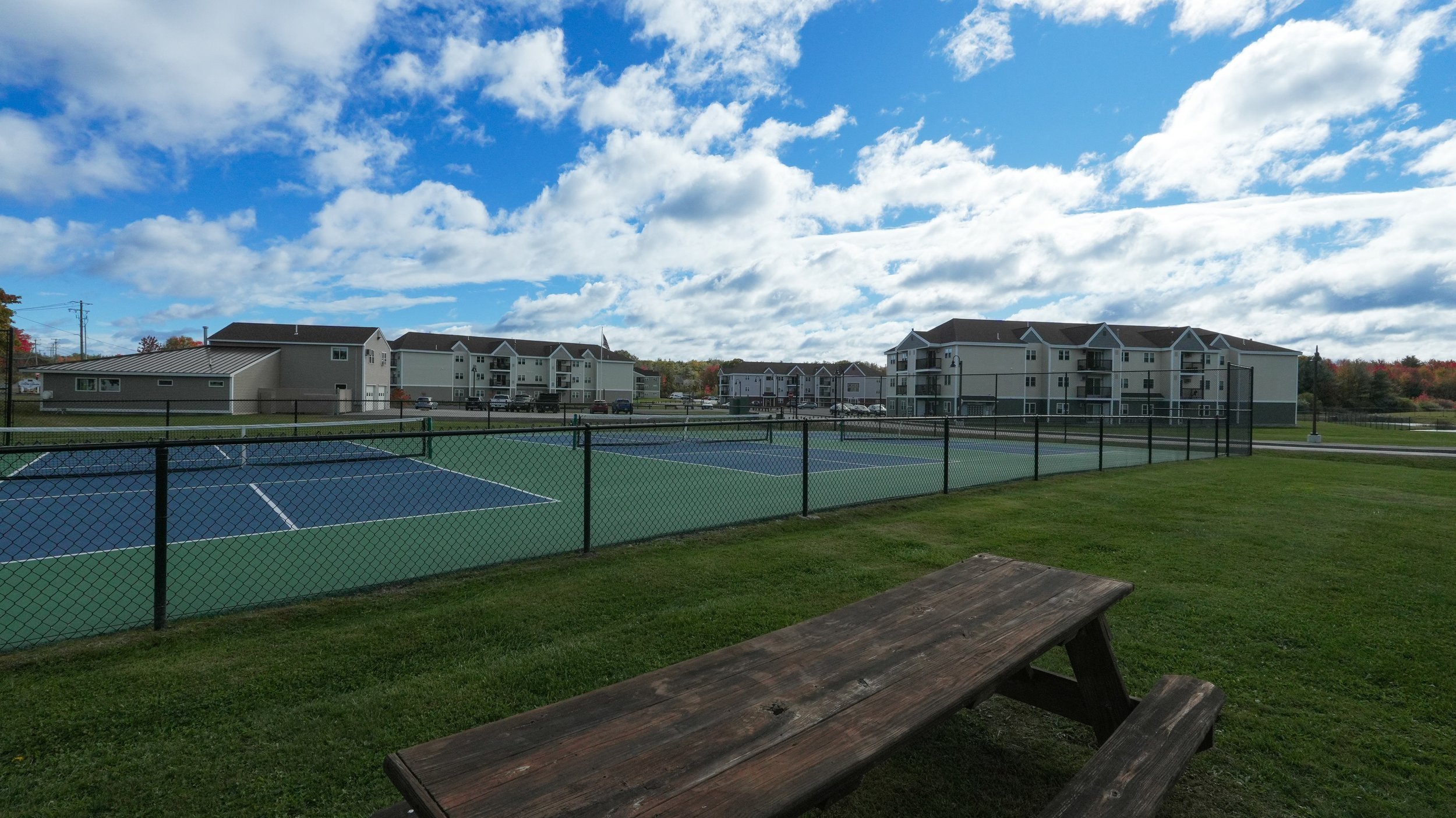 Lilac Garden — Bellamy Knox